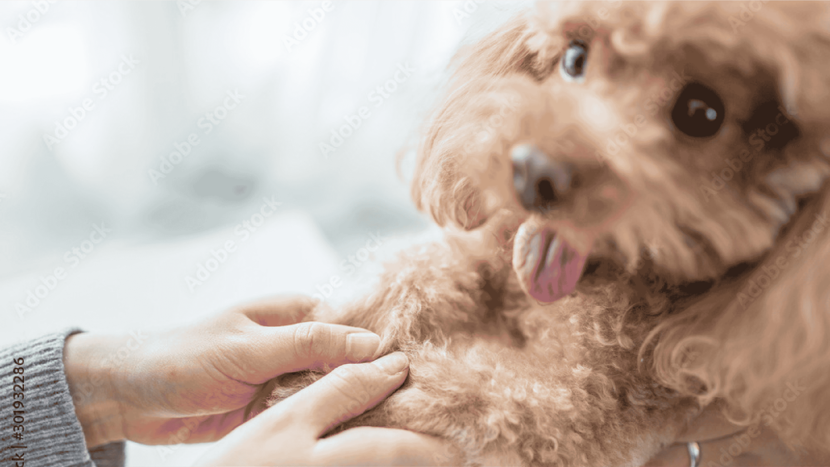 メインビジュアル_画像